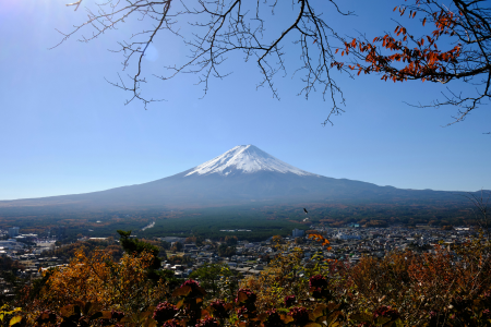 Mt. Fuji